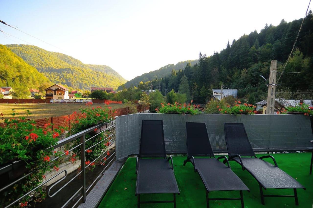 New Green Slănic-Moldova Dış mekan fotoğraf